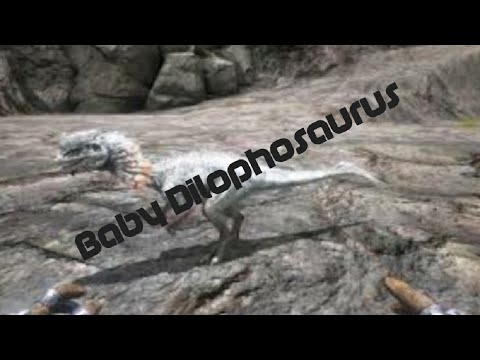 Hatching Baby Dilophosaurus -  Ark Survival Evolved