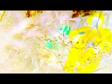 |VIDEO| KORTATV - MECÁNICO ELECTRÓNICO [PROD.HERTORIOUS] (DISS SCARFACE JOHANSSON)