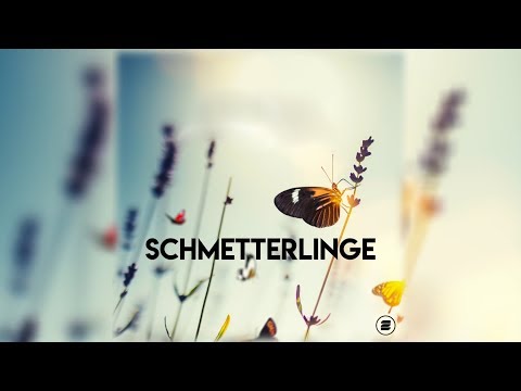 download lagu mp3 mp4 Lichtjahr, download mp3 Lichtjahr free download mp3, download mp3 Lichtjahr