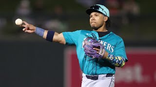 Michael Arroyo 2024 Minor League Highlights!