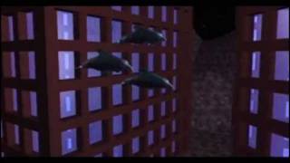 Music video thumbnail preview for Sundial Aeon - Morphia by Sundial Aeon