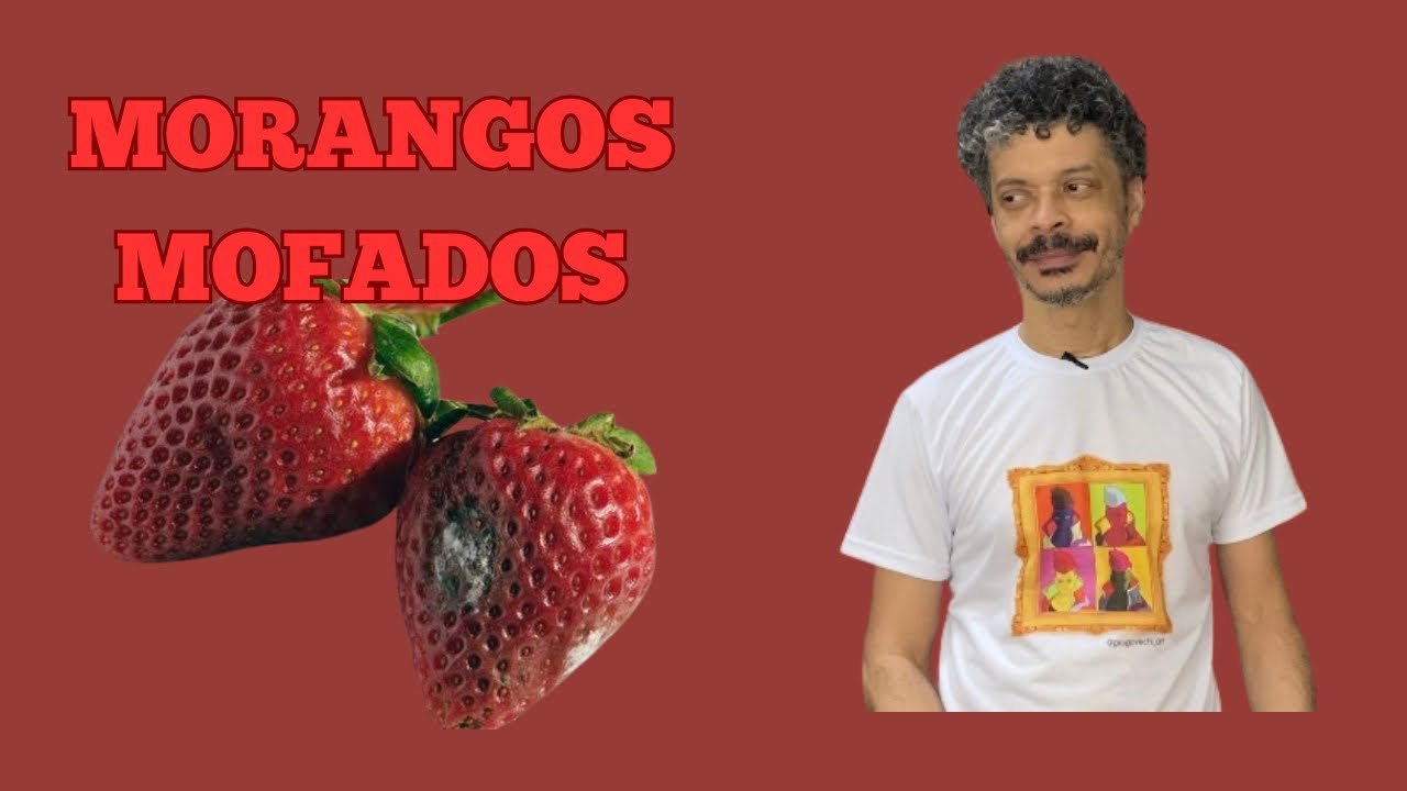 Morangos Mofados, de Caio Fernando Abreu: resumo, análise e dicas