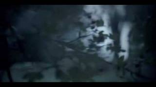 Cradle Of Filth - Honey And Sulphur