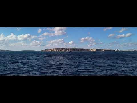 Sloe Revenge by Zion Train