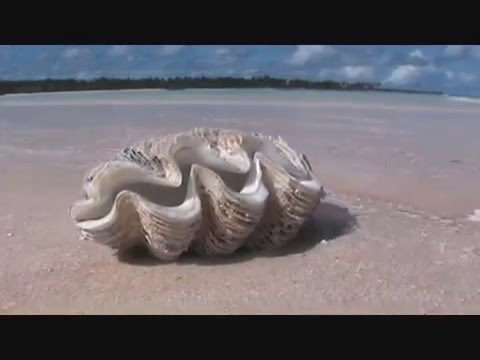 Промо ролик министерства туризма Кирибати