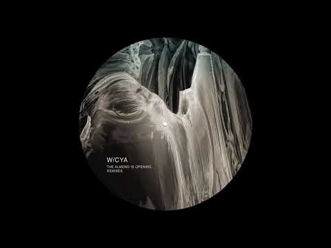 W/CYA - Abstruse Two (d_func  Remix) [KSQ075]