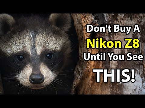 First Week With The Z8: Don't Buy One Until You See THIS!