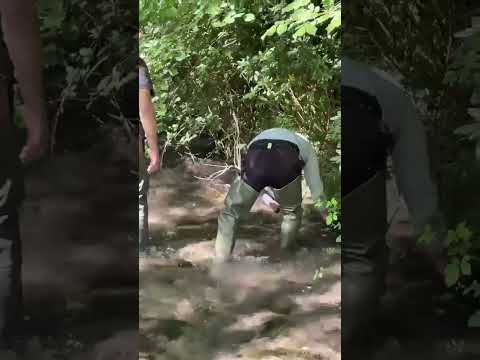 Anteprima video