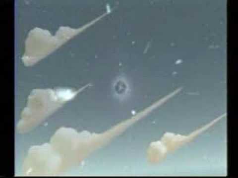 SanomoeAlex’s Video 135049831020 GzvqEiSNlzA