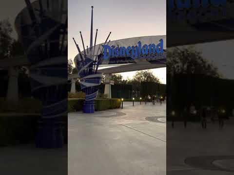 Disneyland entrance process