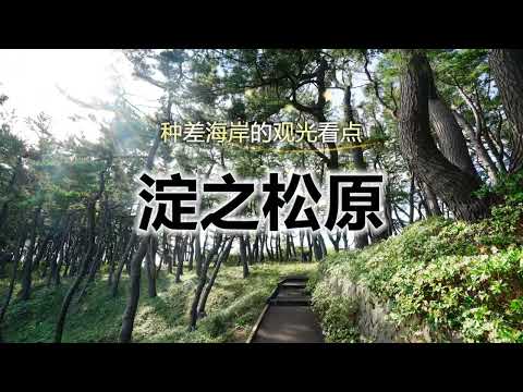 陆奥潮风步道「淀之松原」