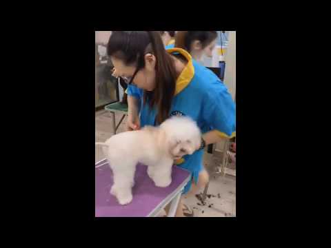 轻松学习，认真练习，信心满满，科室满满