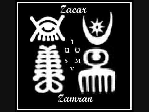 SVM.:.Zacar Zamran II.:.08 Insects (iii): Vespidae