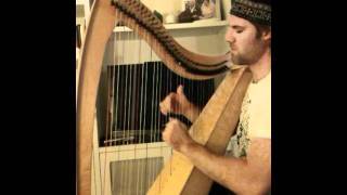 Erik Heger - Harp Guy NYC