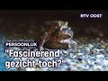 Dankzij Adri kunnen deze padden weer lekker paren |  RTV Oost