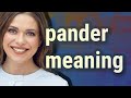 Pander | meaning of Pander