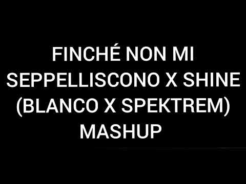 FINCHÉ NON MI SEPPELLISCONO X SHINE (BLANCO X SPEKTREM) MASHUP