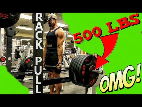 500lb RACK PULLS - Alpha Destiny Experiments