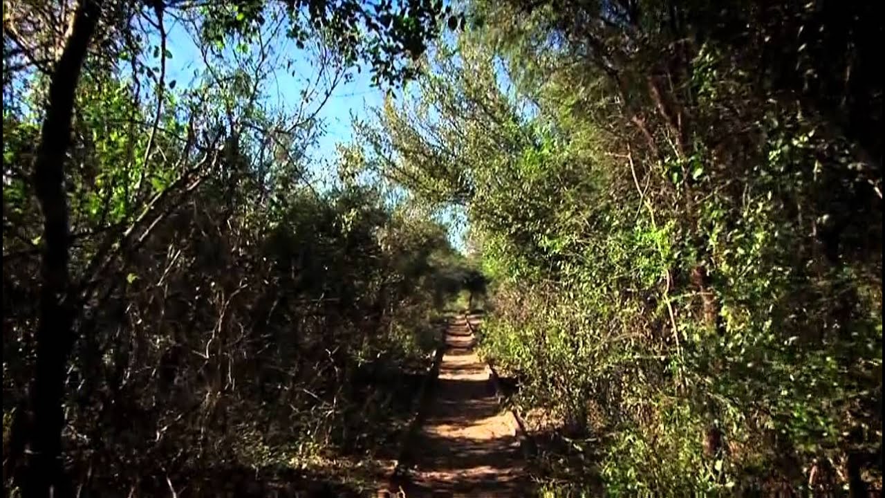 Maradona, Médico de la Selva — Official Trailer