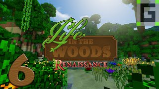 Life In The Woods: Renaissance - E06 - Other Side of the Mountain