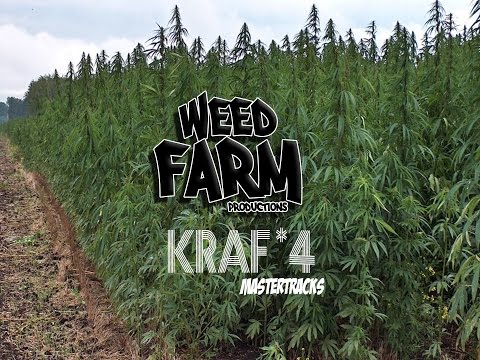 [MASTER TRACK *4] KRAF (Weed Farm Productions)