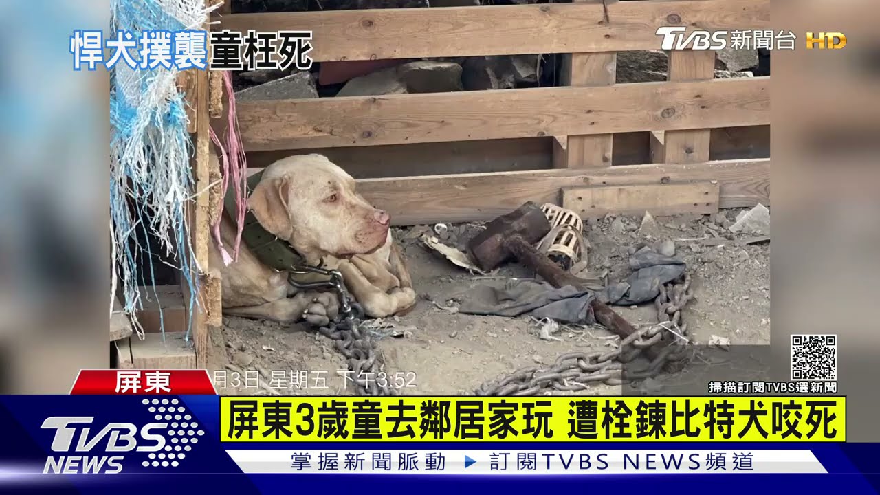 屏東3歲童去鄰居家玩 遭栓鍊比特犬咬死