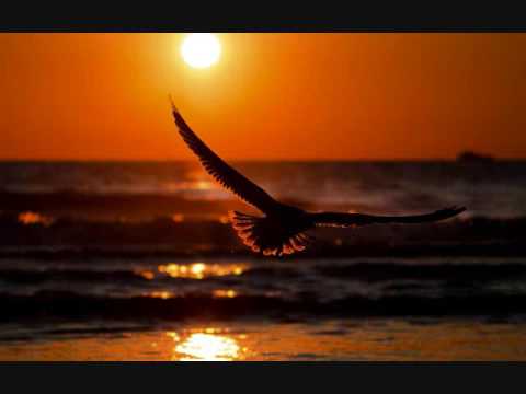 Paul Oakenfold vs. Ayumi Hamasaki - Southern Sun (J Mashup)