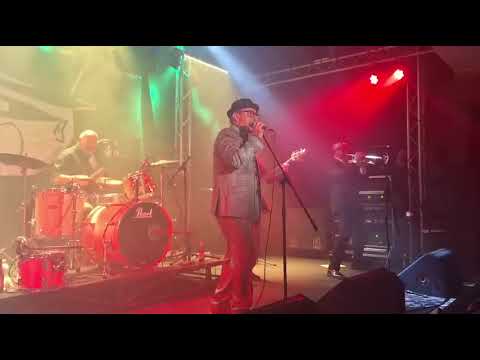 Lip Up Fatty - Skatoons (Bad Manners cover) 