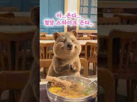 에버랜드 AI 숏폼·바이럴 사례