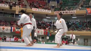 Shotokan Karate Shoegaze Tribute