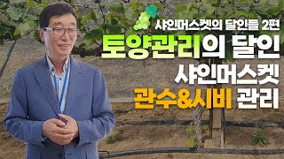 샤인머스켓의 달인들 2편 : 고품질 샤인머스켓을 위한 관수 및 비료 시비 방법