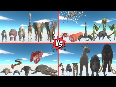 Tournament: Modern Mammals, Giant Invertebrates, Reptiles, and Prehistoric Mammals - ARBS