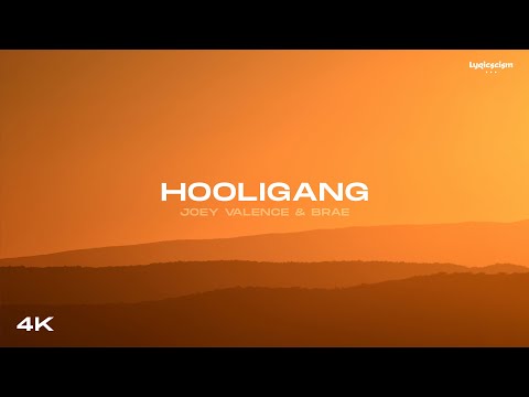 HOOLIGANG - Joey Valence & Brae (Lyrics)