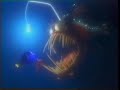 Finding Nemo Angler Fish