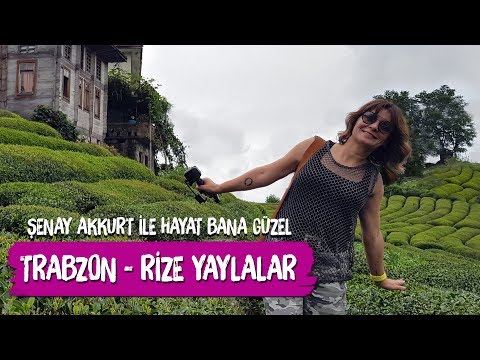 download lagu mp3 mp4 Trabzon Yaylalar, download lagu Trabzon Yaylalar gratis, unduh video klip Trabzon Yaylalar