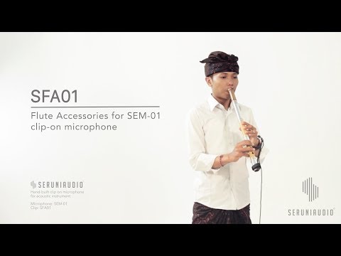 SERUNIAUDIO™ // How to Mic Vertical Bamboo Flute Using SFA01