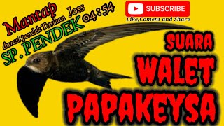 Download lagu Suara Panggil Tarik Burung Walet Terbaru, SP PENDEK 04:54 mp3 Download lagu Suara Panggil Tarik Burung Walet Terbaru, SP PENDEK 04:54 mp3