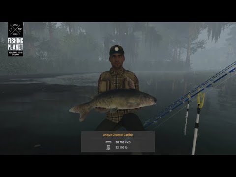 Steam Community Video Fishing Planet Quanchkin Lake Louisiana Unique Channel Catfish