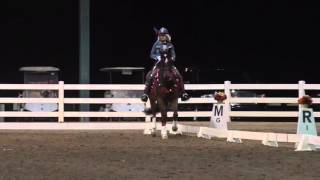 Honoring 50 years of the Grateful Dead through Dressage