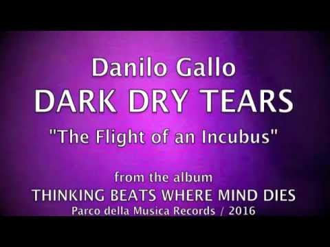 The Flight of an Incubus / Danilo Gallo DARK DRY TEARS