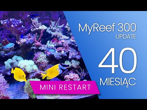 (176) MyReef 300 / Update / 40 miesięcy - Akwarium morskie - Reef aquarium