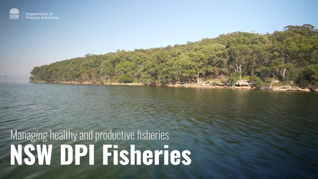 NSW Department of Primary Industries and Regional Development | Fisheries corporate video 2021