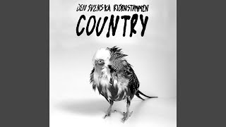 Promemoria (Instrumental)