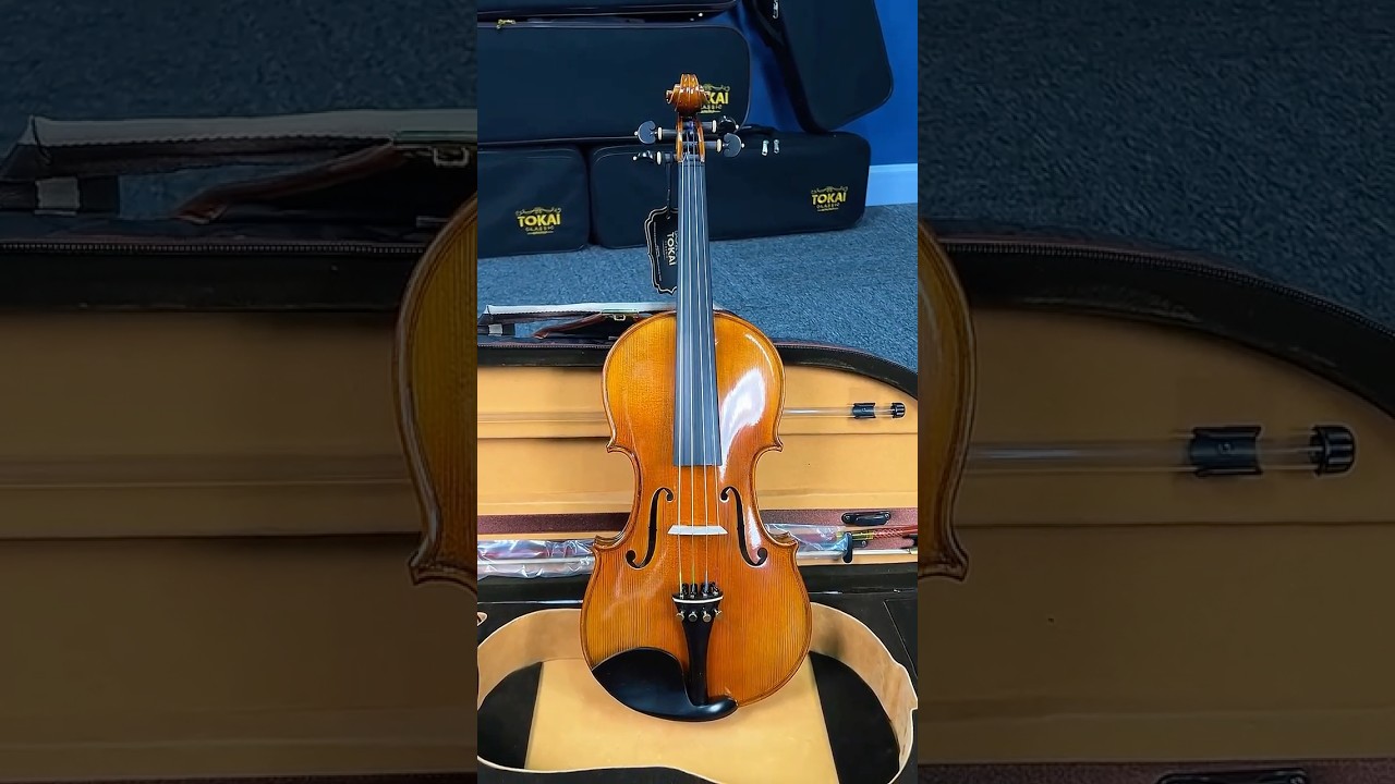 Violino 4/4 Profissional Tampo Abeto Maciço Maple Estojo