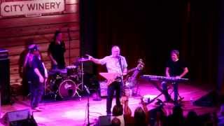 Tinsley Ellis "Tough Love"