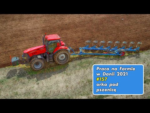 Work on a Farm in Denmark # 157 plowing for wheat