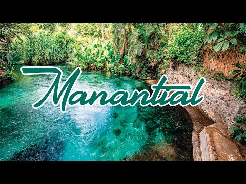 Manantial - Jaime Øspino / Cover
