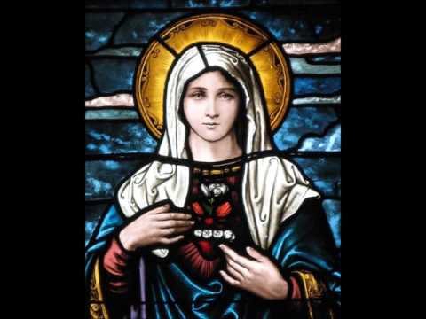 Tu És o Sol de Um Novo Amanhecer - Católica