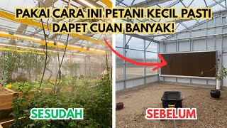 Download lagu A Powerful Way to Keep Your Greenhouse Cool Without AC! Many People Don't Know This mp3 Download lagu A Powerful Way to Keep Your Greenhouse Cool Without AC! Many People Don't Know This mp3