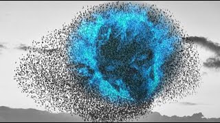 SlaughterBots: Are Drones Locusts from the Bible: Revelation 9?